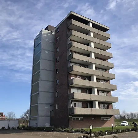 Tief 12 Seepferdchen Mit Internet 24