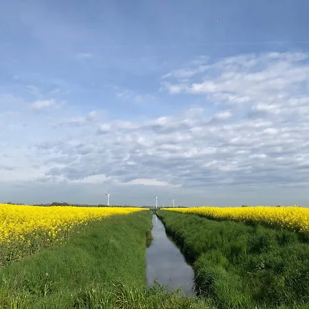 Tief 12 Seepferdchen Mit Internet 24 Apartment *