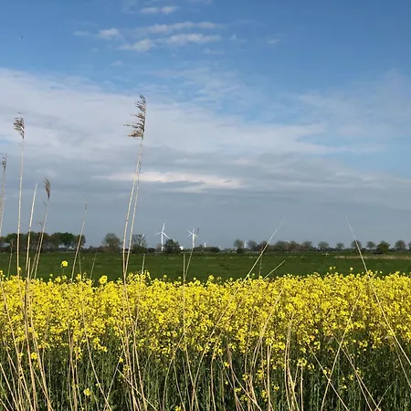 Apartment Tief 12 Seepferdchen Mit Internet 24