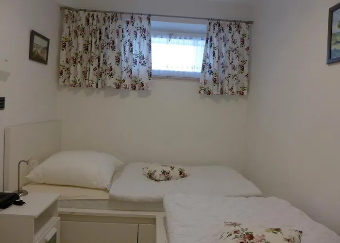 Tief 12 Seepferdchen Mit Internet 24 * 西里格