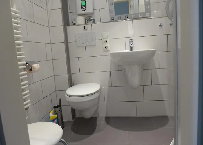 Tief 12 Seepferdchen Mit Internet 24 西里格