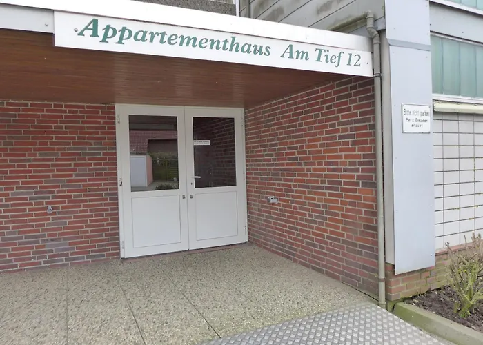 Tief 12 Seepferdchen Mit Internet 24 公寓