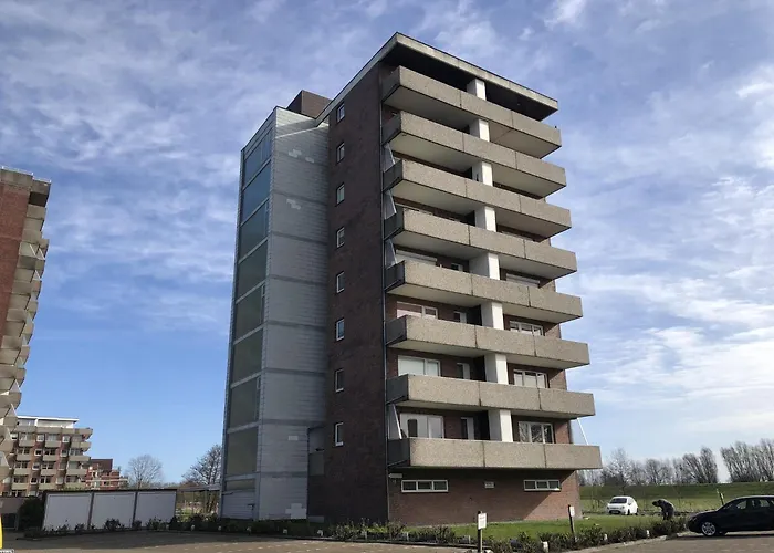 Tief 12 Seepferdchen Mit Internet 24