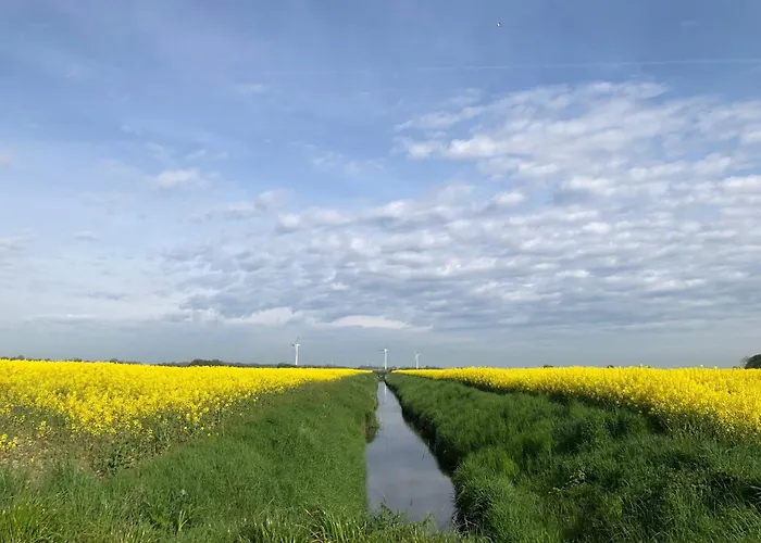 Tief 12 Seepferdchen Mit Internet 24 公寓 *