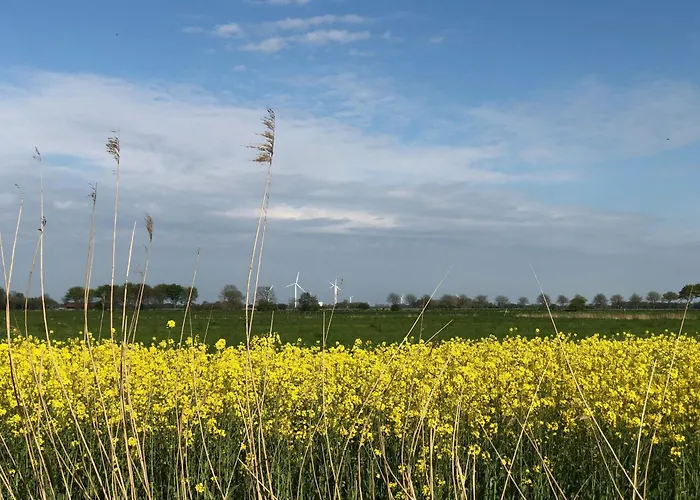 公寓 Tief 12 Seepferdchen Mit Internet 24