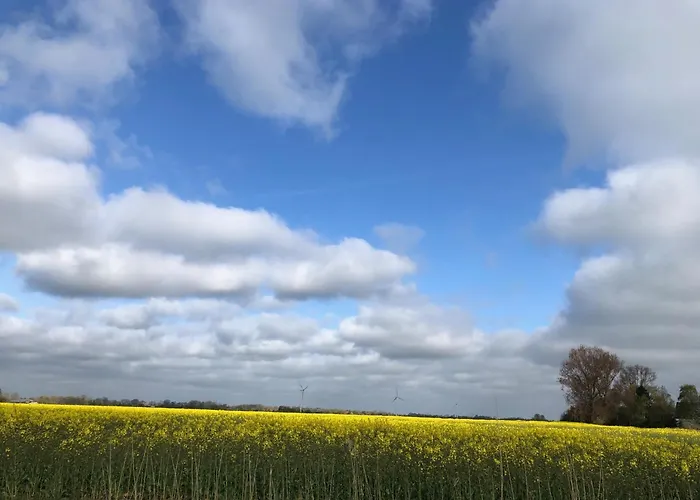 Tief 12 Seepferdchen Mit Internet 24 公寓 *